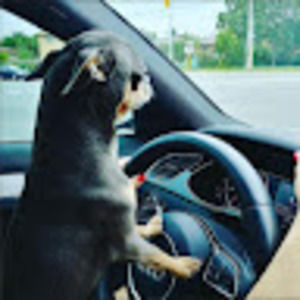 Meet your Posher, Vicky